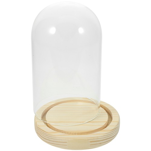 Glass cloche dome with wooden - with,