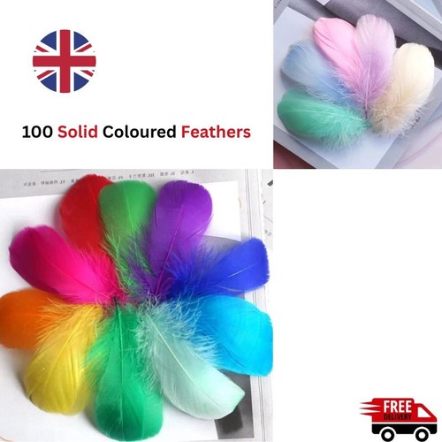 100 solid coloured feathers - 100,