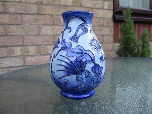 Moorcroft rough hawks beard - moorcroft,