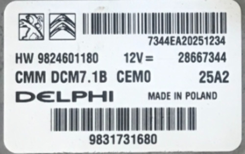 Plug play ecu - plug, peugeot