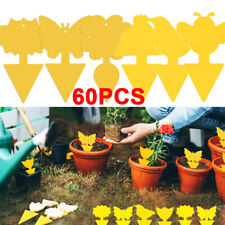 60 PCS Fruit Fly Traps