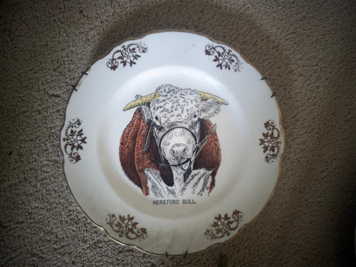 Hereford bull plate good - bull,