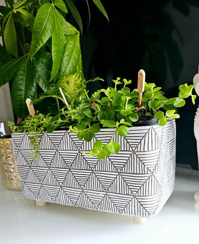 Flower pot legs - flower,