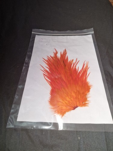 Large saddle cock hackles fly - saddle,