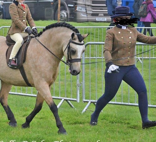 Lead rein showing - lead, outfit