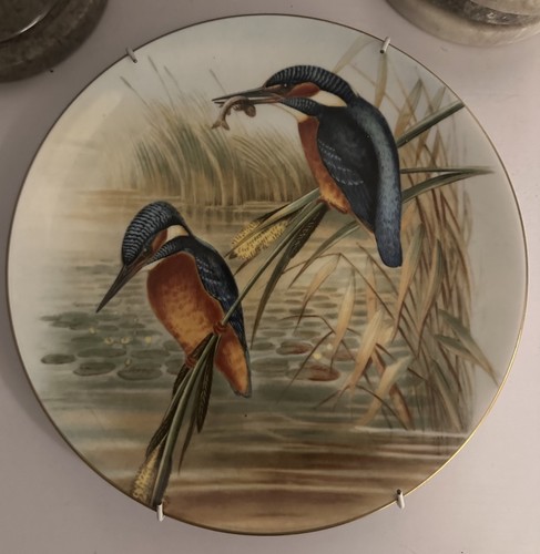 The john gould birds - the,