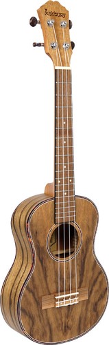 Ashbury 89tz tenor - tenor, ukulele