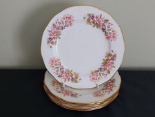 COLCLOUGH Wayside Honeysuckle