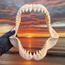Shark Jaws 30cm 3d Printed Great White Replica Mini Megalodon Ornament