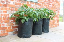 Haxnicks Potato Patio Planter