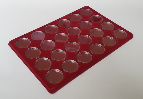 Coin red tray - red, 24x