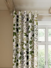 Sanderson sycamore oak pair - sycamore,
