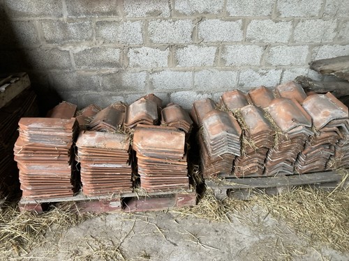 Reclaimed old english - reclaimed,