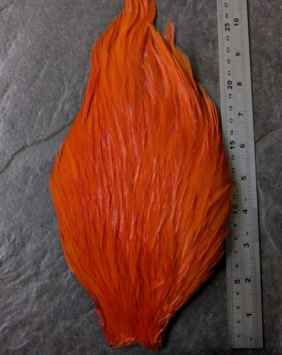Bright orange magnum chinese - bright,