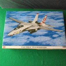 Hasegawa 1/48 F-14A Tomcat