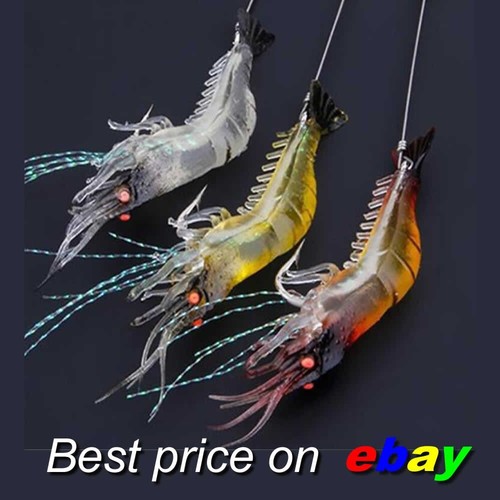 Prawn shrimp fishing - 3,