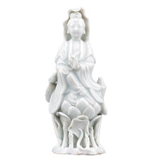 Chinese Guangxu Porcelain