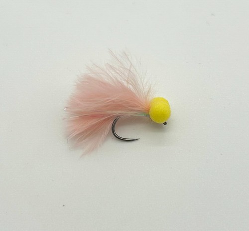 Coral booby trout - coral,