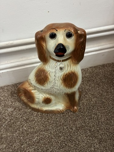 Staffordshire spaniel dog - staffordshire,