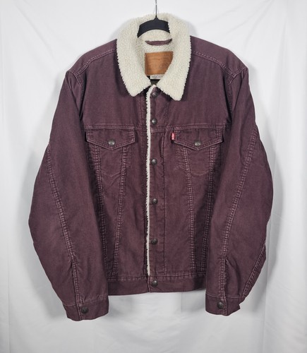 Levi premium men maroon - men's,