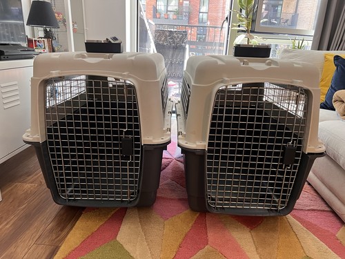 Airline approved pet carrier - airline,