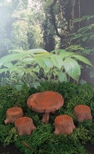 Dolls House Miniature 1/12th