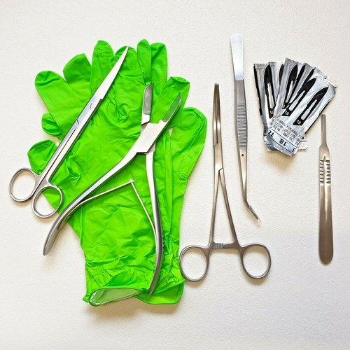 Coral propagation kit 4 - propagation,