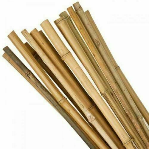 6ft heavy duty bamboo plant - duty,