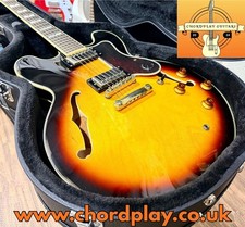 ☀️2013☀️ Epiphone