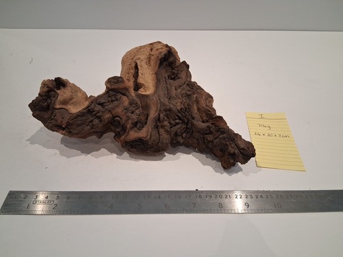 Driftwood bogwood burl - driftwood,