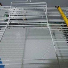 Pets at Home large hamster cage with water bottle, exercise wheel, bed,foodbowl.