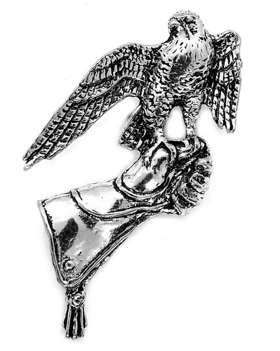 Falcon bird glove - glove, pin