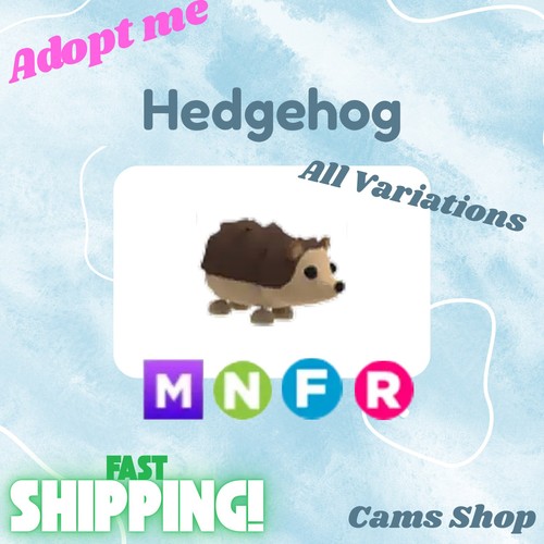 Hedgehog all variations no - variations,