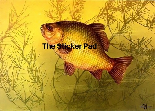 Vinyl sticker crucian carp - sticker,