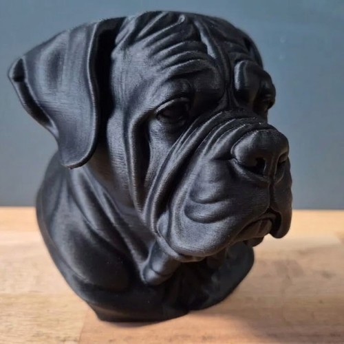 Neapolitan mastiff dog bust - bust,