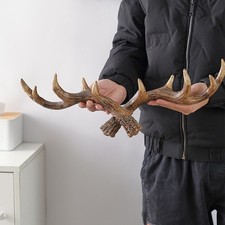 Vintage Deer Antlers Wall Hook