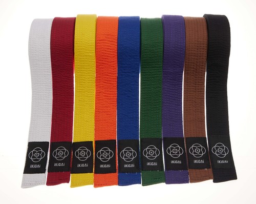 Myikigai lightweight karate - lightweight,