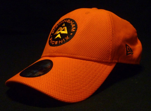 Birmingham pheonix cricket - birmingham,