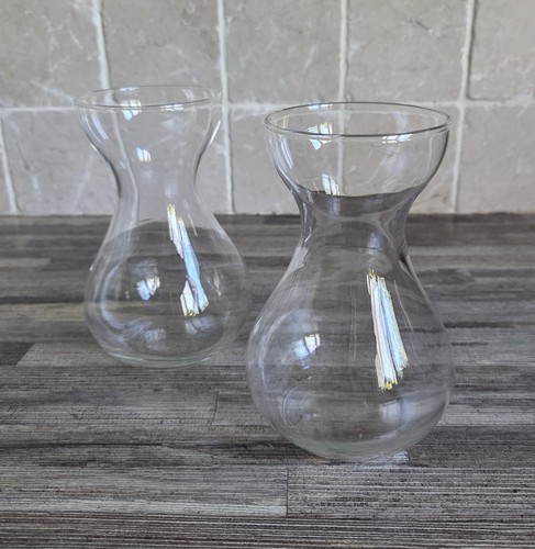 Vintage clear glass hyacinth - vintage,