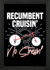 Recumbent Bike Where Framed