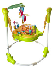 Baby Jumperoo Bouncer Activity
