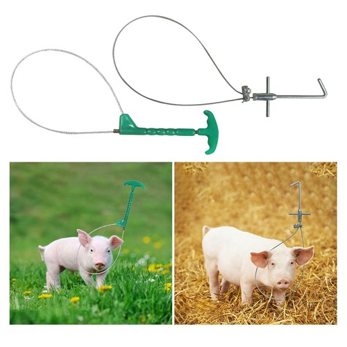 Pig holder catcher - pig,