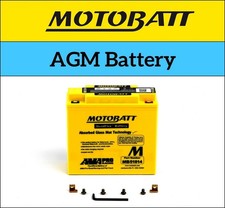 BMW R 1100 S Boxer Cup Replica