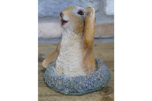 Popup meerkat garden - popup, ornament