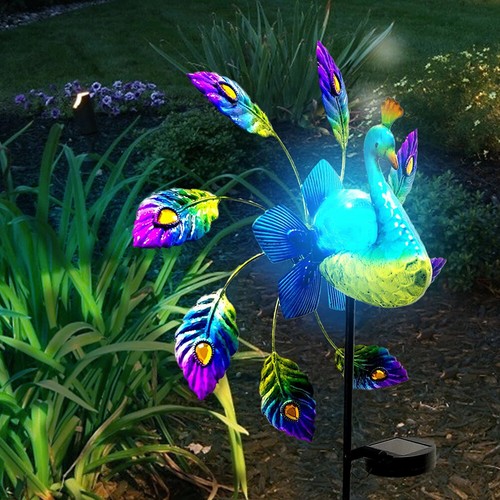 Peacock decorative light - peacock,