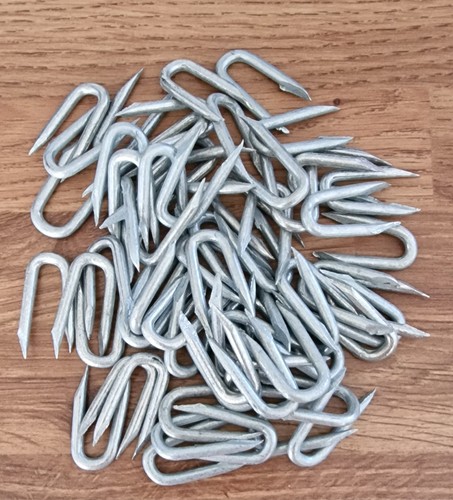 Galvanised staples nails - u,