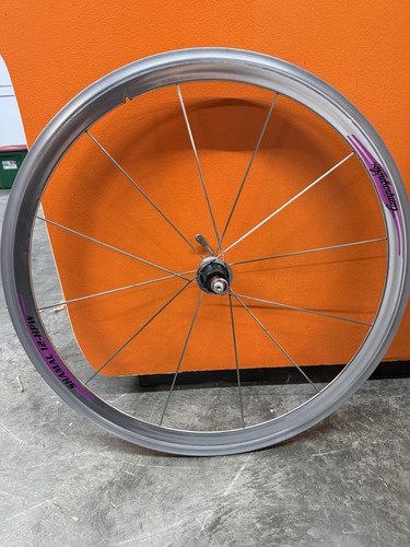 Campagnolo shamal hpw rear - hpw, 12