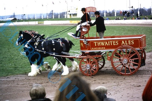 Thwaites ales brewery - dray, &