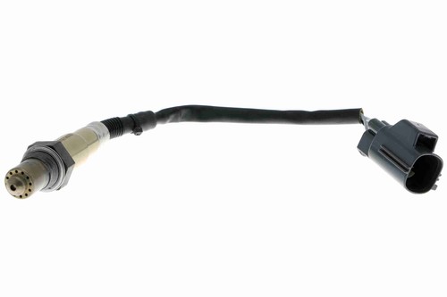 Left vemo v48 0005 - vemo, v48-76-0005