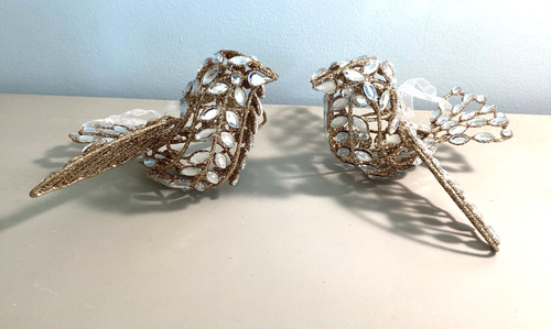 August and leo jeweled turtle - leo,